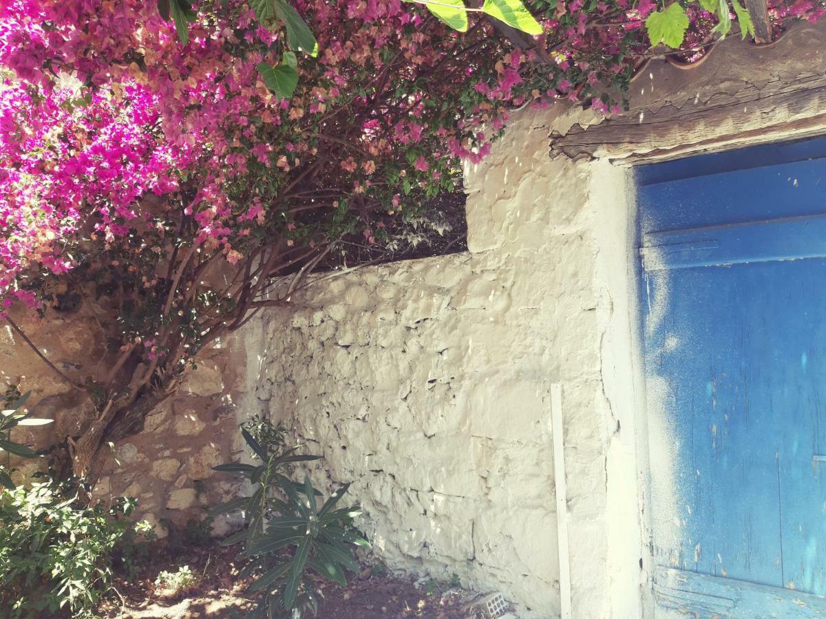 Villa Avli 카르다밀리 외부 사진